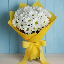 Букет цветов из:  Хризантемы во Владикавказе