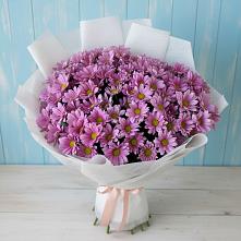 Букет цветов из:  Хризантемы #REPLACE_PRED# Владикавказе